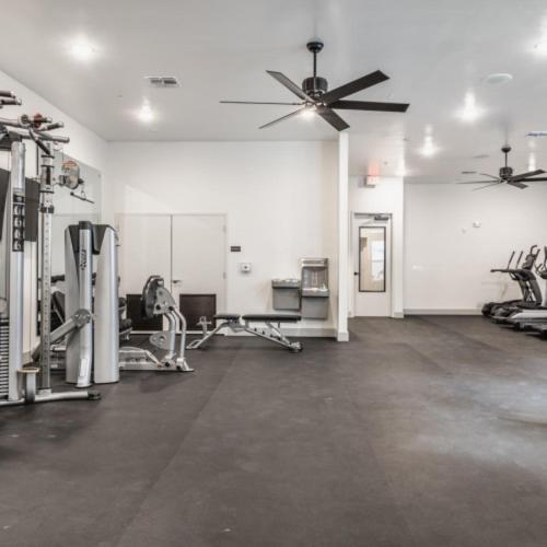 Luxury In Ybor W/pool Access Apartment